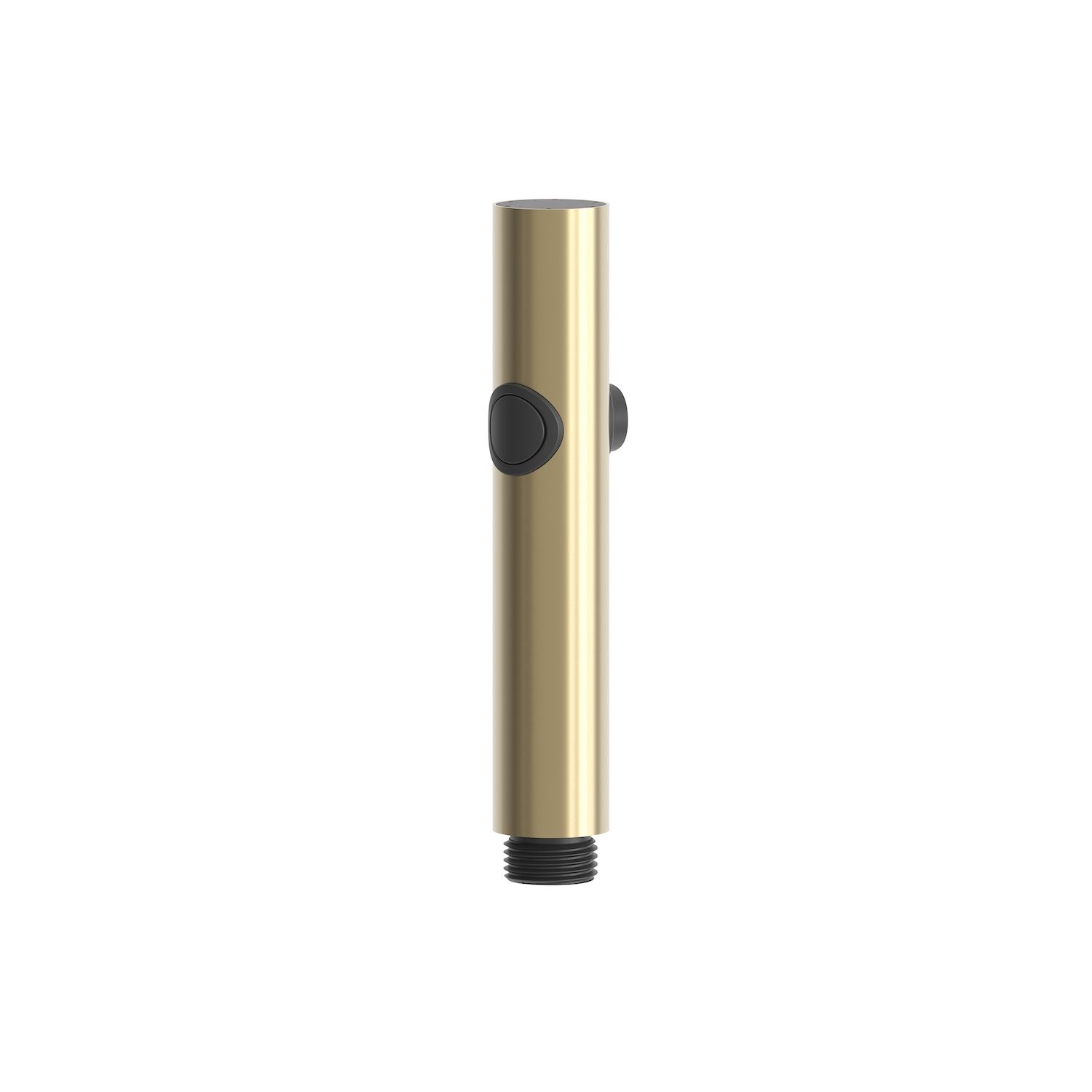 Gold 316L Stainless Steel Hand Shower Corrosion e Limescale Resistant