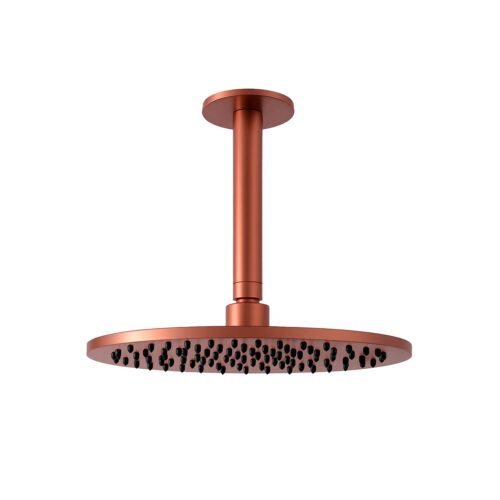25cm Satin Finish Stainless Steel Rain Shower Kit for Indoor and Outdoor Use